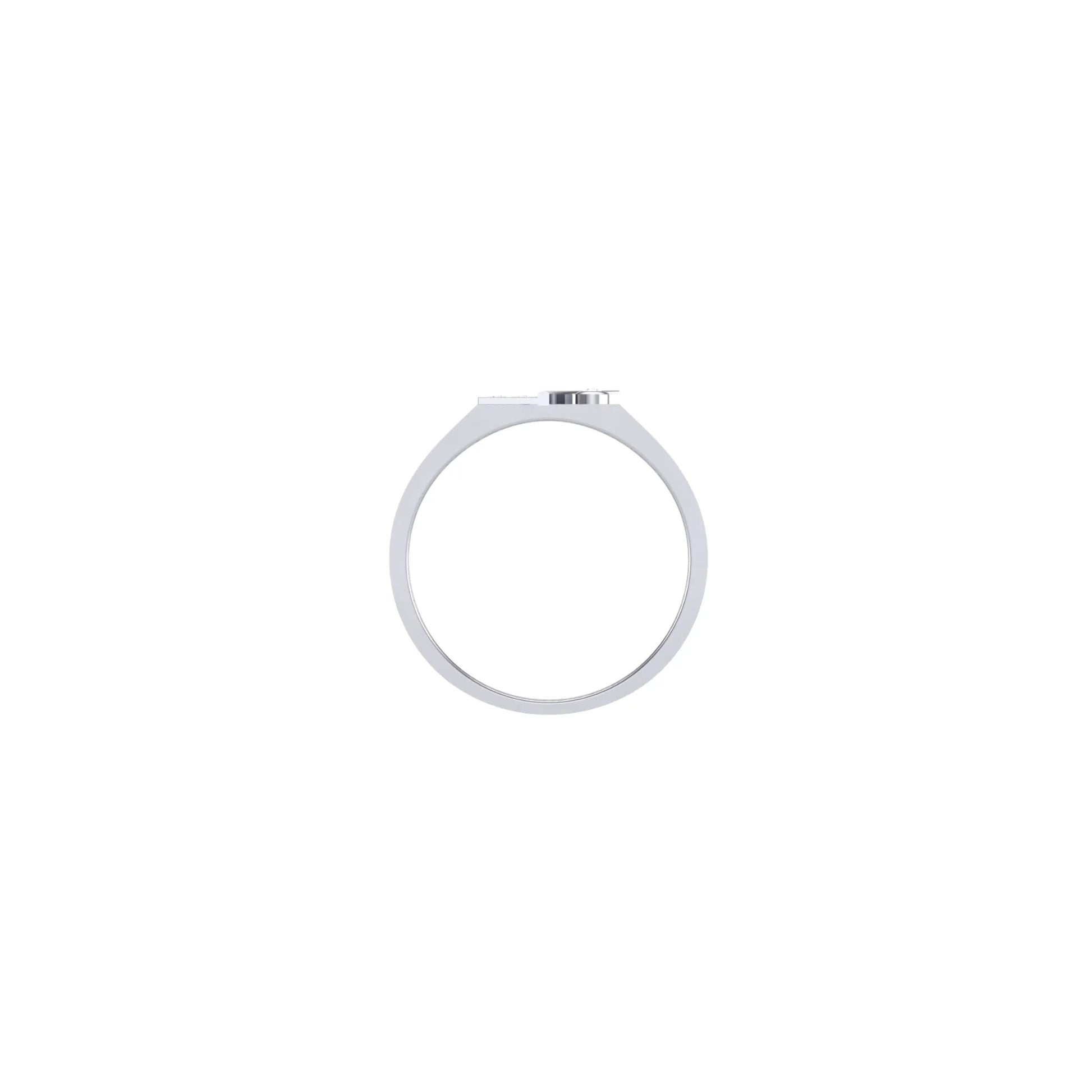 White circular object on a white background